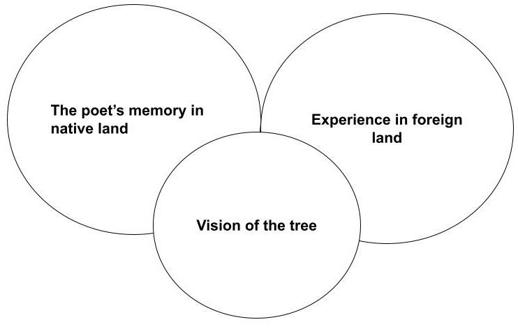 Our Casuarina Tree Diagram Based MCQ 3