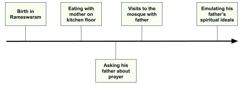 Strong Roots Diagram-Based MCQs 1